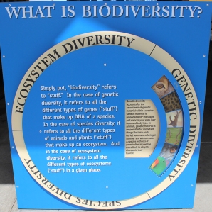 Biodiversity wheel
