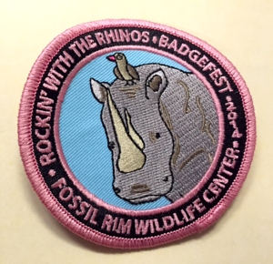 Girl Scout badgefest patches